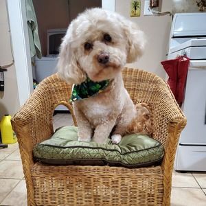 Meet your Posher, Sheila